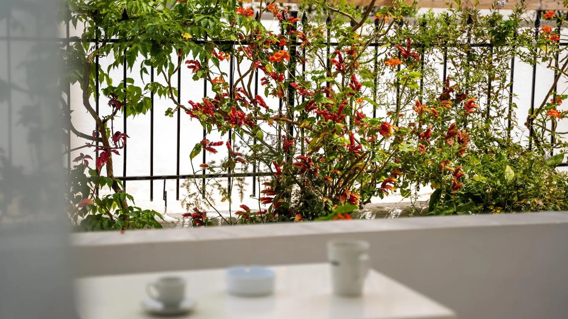 Kris Vacations In Saranda Apartment Sarande